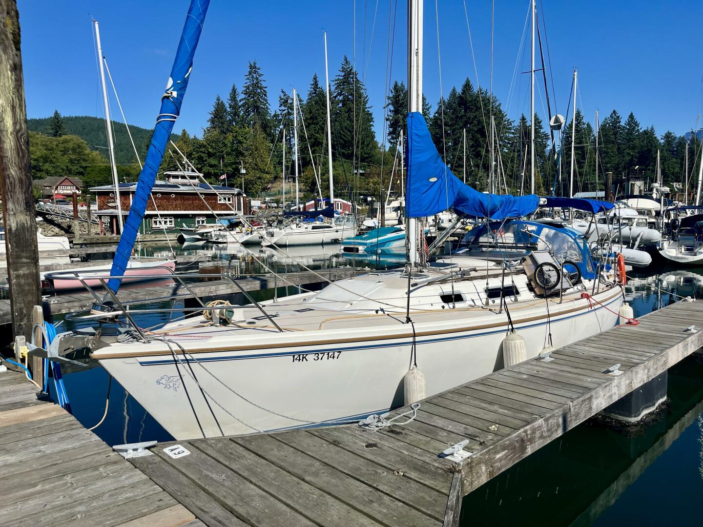 photo 68df9ba35101d2.40198400 Vancouver Yacht Sales,boats for sale vancouver